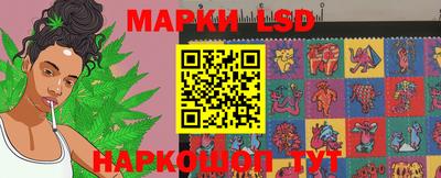 apvp Бийск