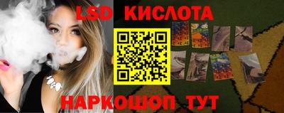 apvp Бийск