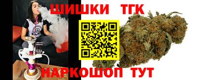apvp Бийск