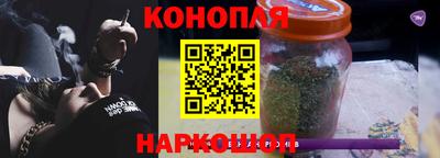 apvp Бийск