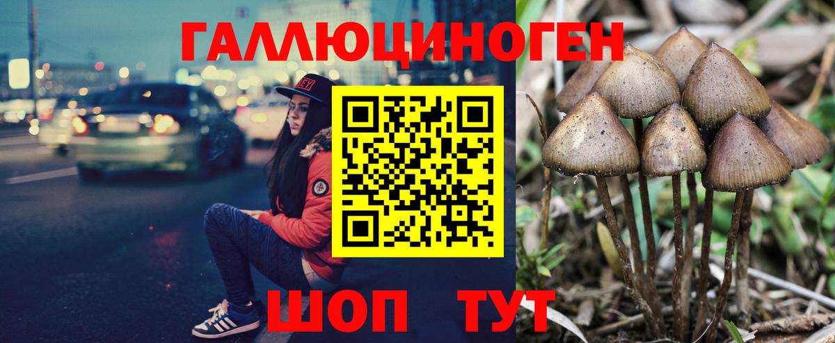 Зима  даркнет сайт  Вход с VPN  Галлюциногенные грибы Psilocybe 