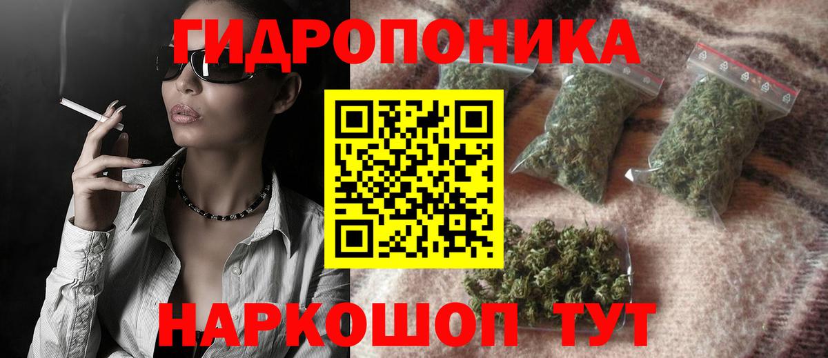 Бошки марихуана ГИДРОПОН  Вход с VPN  Конопля AK-47  Зима 
